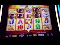 Big Win Buffalo machine a sous Casino de montreal #7