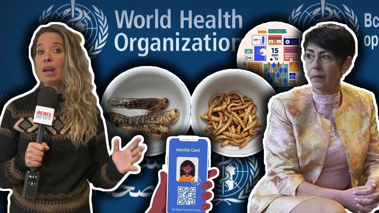 TRAILER: What does German MEP Christine Anderson fear most about Agenda 2030?