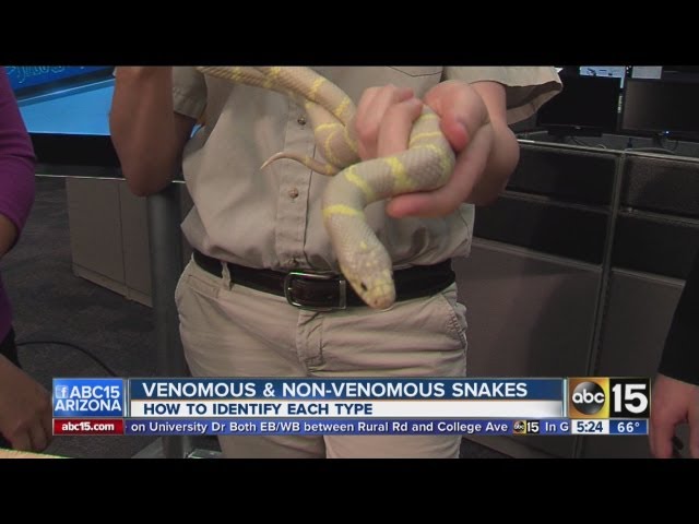 Snacks visit as weather warms up