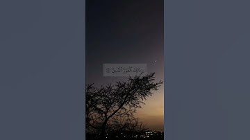 سورة الأنعام ١٥_١٧، القارئ: أحمد العجمي