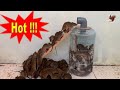 Awesome water pitcher 🐀🐭🐀  Best homemade mousetrap