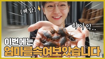 [가족시트콤] 엄마한테 바퀴벌레 몰카하기 ㅋㅋㅋㅋㅋㅋㅋㅋㅋㅋㅋㅋ