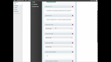 Elegant Themes ePanel - Chameleon Wordpress Theme