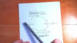 Discrete Representation Theory Ep. 6 - FG-Modules to Reps, and Equivalent Reps in FG-Modules