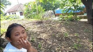 Sekedar berbagi info macet di pantura Indramayu di desa cilet