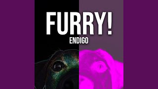 Miniatura de vídeo de "ENDIGO - Furry!"