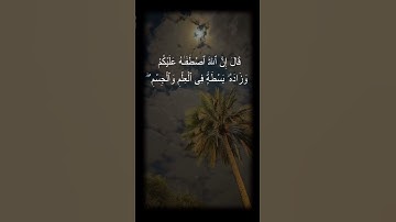 #المصحف #راحة_نفسية #تلاوة_خاشعة #اكسبلور #قران_كريم #قرآن #قطر #صلاة #القرآن_الكريم #تلاوات #تلاوة