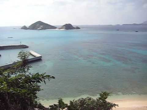 ���g�A�r�[�`���̍₩�猩��B