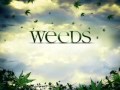 Michael Franti and the Spearhead - Ganja Babe