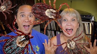 Tick Bite Causes Meat Allergy! Win for Veganism?