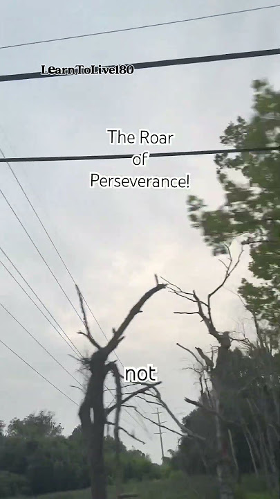Persevere #youtubeshorts #youtube   #LearnToLive180 #viral #fyp #trend #trending #love #kids #family