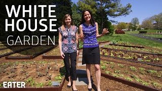 Visiting the White House Kitchen Garden