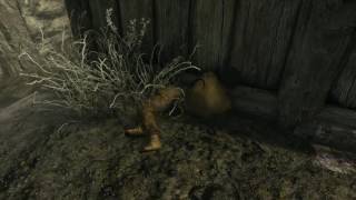 Famous Wait wut? Net Worth