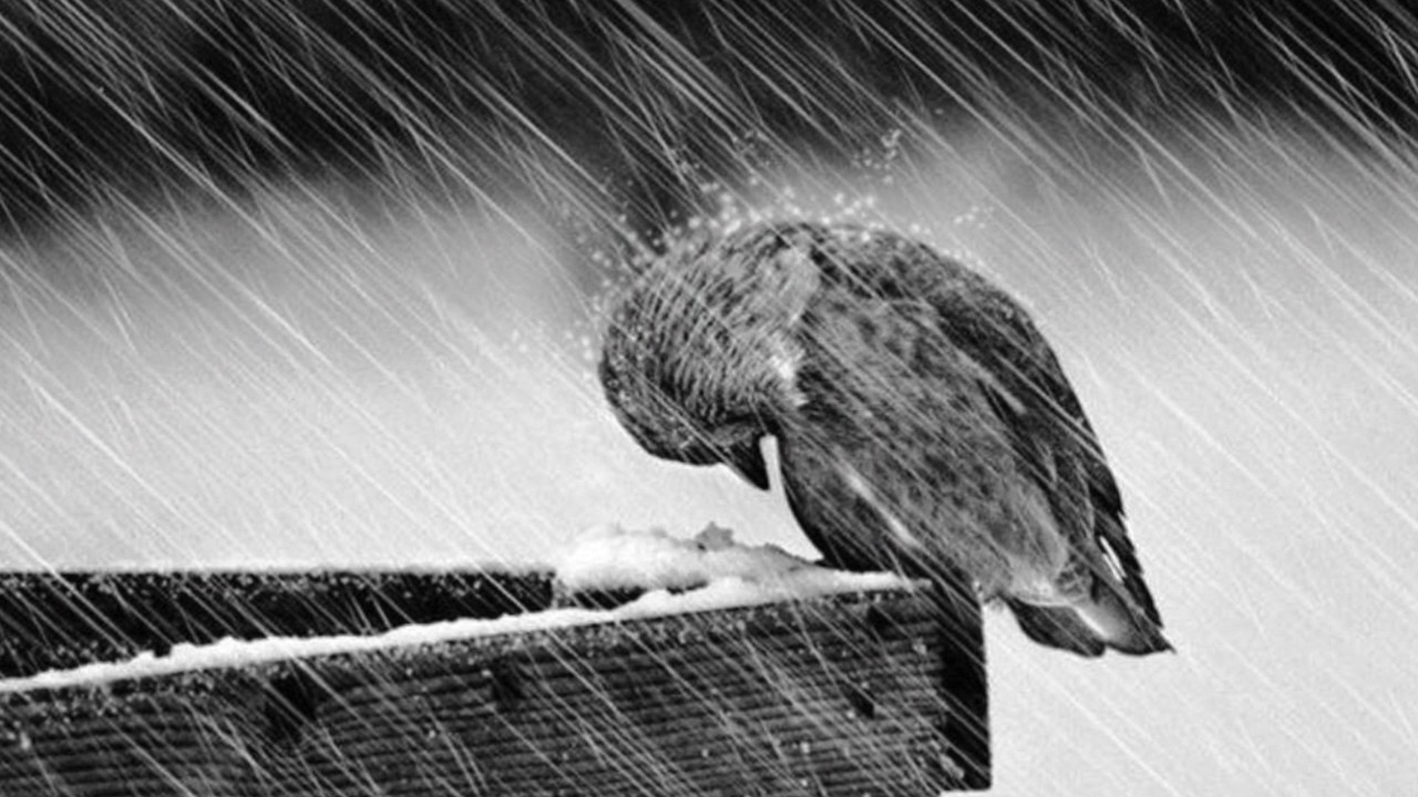 Mainstay- Believe (Lyrics in the Description)