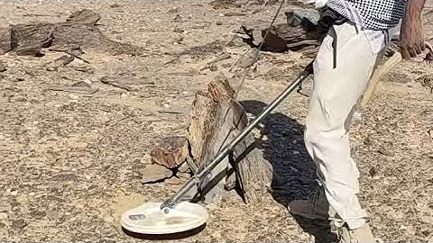 Gpz7000 #minelab #shortvideo #shortsfeed #metaldetecting #gold #part2 #prospecting #mining #shorts 