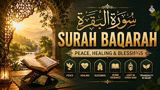 Surah Al-Baqarah سورة البقره | A Soft Whisper of Peace and Mercy​ | Al-Taqwa TV screenshot 5