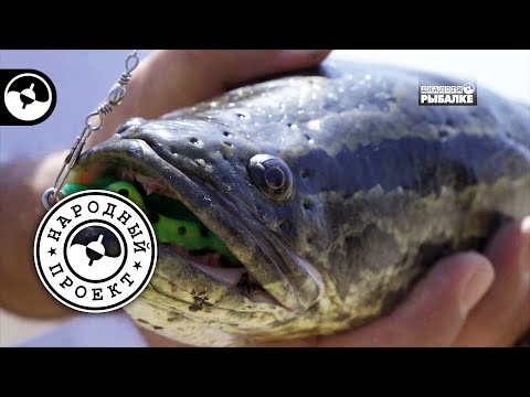 Узбекистан. Рыболовный фестиваль | Народный проект