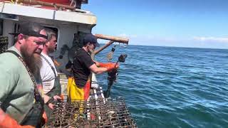 We caught a string of ghost traps while lobster fishing