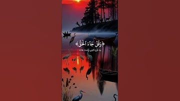 شاشة سوداء قرآن کریم | سورة الإسراء الآية ۷۸ - ۸۲ القارئ.....#short#video# viral#foryou