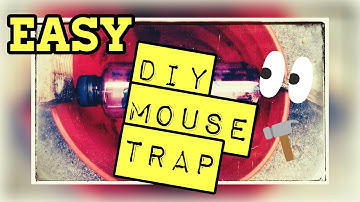 EASY DIY MOUSE TRAP - Rolling Log Trap Demo