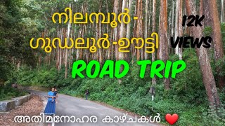 NILAMBUR- GUDALUR -OOTY ROAD TRIP | മസിനഗുഡി വഴി അല്ലാത്ത ഒരു ഊട്ടി യാത്ര 😍