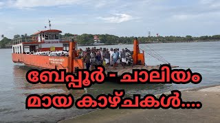 മീനുകൾക് ഇവിടെ പകുതി വില | Chaliyam Harbour