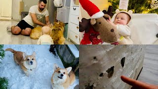 :   !       |       ! VLOG