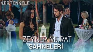 Zeynep Murat Özel kolaj | Kertenkele yeniden Doğuş