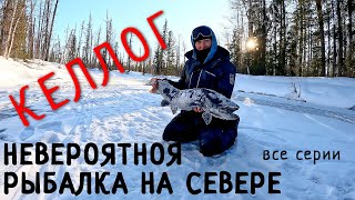 видео: Подледная рыбалка на реке Келлог и ее притоках/ВСЕ СЕРИИ картинка: Подледная рыбалка на реке Келлог и ее притоках/ВСЕ СЕРИИ