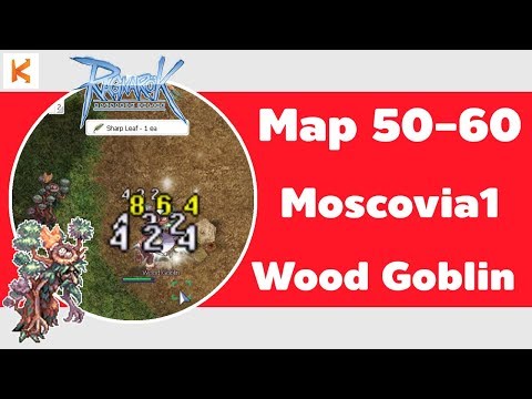 Ragnarok Exe ที่เก็บเลเวล 50 - 60 : Moscovia ชั้น 1 ลุยป่าตบ Wood Goblin+Les