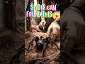 We Put a Camera on a Spider… It Found This 😱#usa #animals #shortsfeed #shorts
