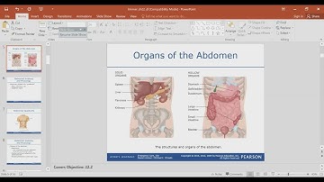 Abdominal Emergencies Lecture 1/4 / EMT MADE EASY