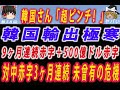 【ゆっくり解説】韓国さん、超ピンチ! 韓国輸出大崩壊 9ヶ月連続貿易赤字+年間赤字リーマン危機の4倍で500億ドル目前 特に対中輸出激減して対中貿易赤字3ヶ月連続! #ゆっくり解説 #韓国 #韓国経済
