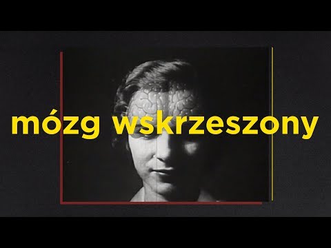 Wideo: Wegetarianizm Ma Szkodliwy Wpływ Na Ludzki Mózg, Powiedzieli Naukowcy - Alternatywny Widok