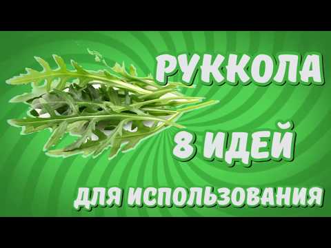 Руккола: готовим салаты, пасту, пиццу, замораживаем на зиму