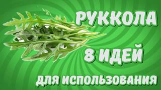 Руккола: готовим салаты, пасту, пиццу, замораживаем на зиму