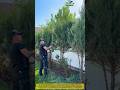Watch This Hedge Trimmer Shape Trees in Seconds! 🌲✂️