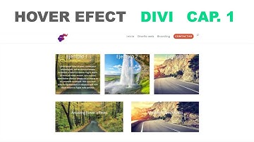DIVI HOVER EFFECTS ►Como se hace Efecto Hover en Divi Themes 1 #DiviConwordpress✅