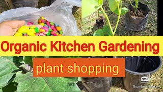 आज किचन गार्डन का बहुत ज़रूरी काम किया /Summer Kitchen Gardening Update/#viral #home #1k #kitchen #1