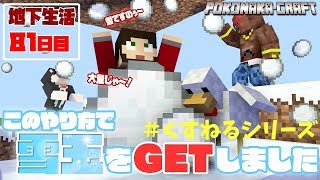 【ぽこなかくら＃331】地下生活81日目！くすねるシリーズ！こうして雪玉をGETしました！【マインクラフト】