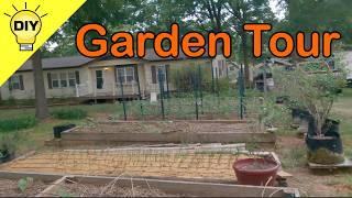 Garden Review May 2 Tomatoes Onions Beans Berries Potatoes