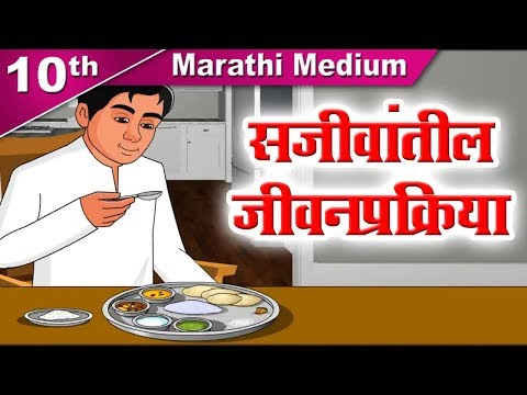 Class 10 | सजीवांतील जीवनप्रक्रिया | Jivanprakriya | Science 2 | Maharashtra Board | Home Revise