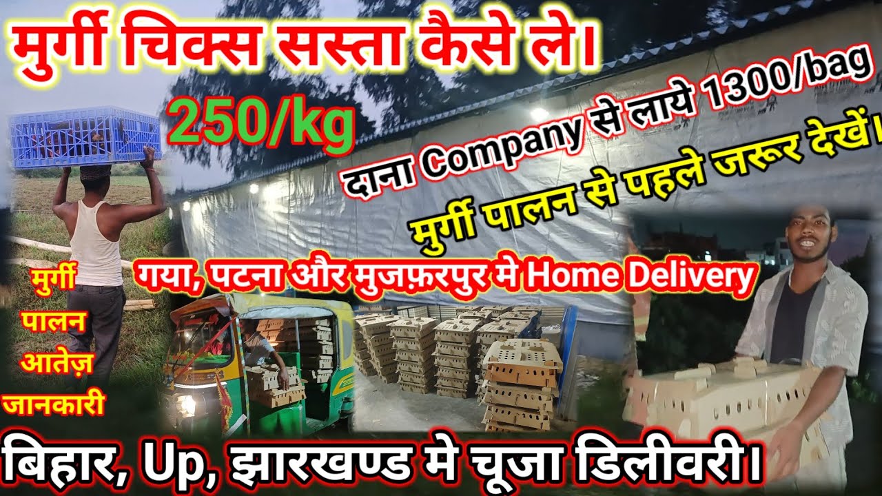 सस्ता चूजा कैसे ले। Sonali, ffg, Rir, देसी मुर्गी। Home Delivery.Desi Murgi Palan.Bihar,Up,Jharkhand