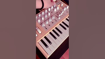 Microbrute with delay fx #synthesizer