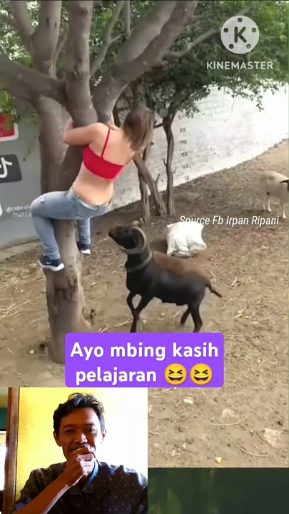 Ayo mbing kasih pelajaran 🤣, video lucu bikin ngakak #ngakak #shortvideo #funny