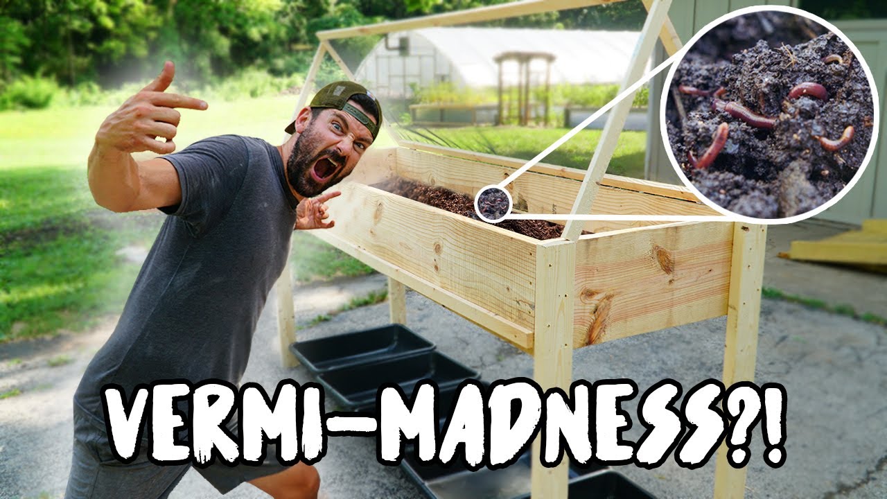 How to build the ULTIMATE WORM BIN! A continuous flow through