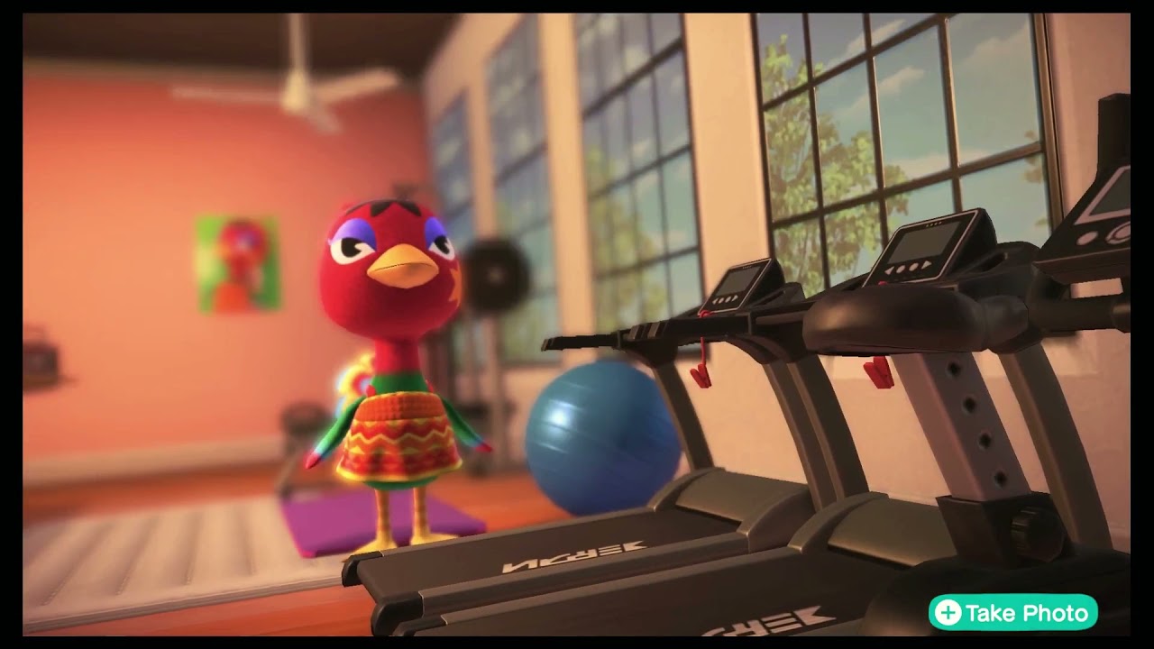 Animal Crossing - Workout Workshop 