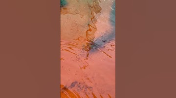 Mô Hình Ươm Cá Thác Lác Cườm ( Cá nàng hai )