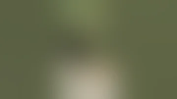 القنب الهندي 