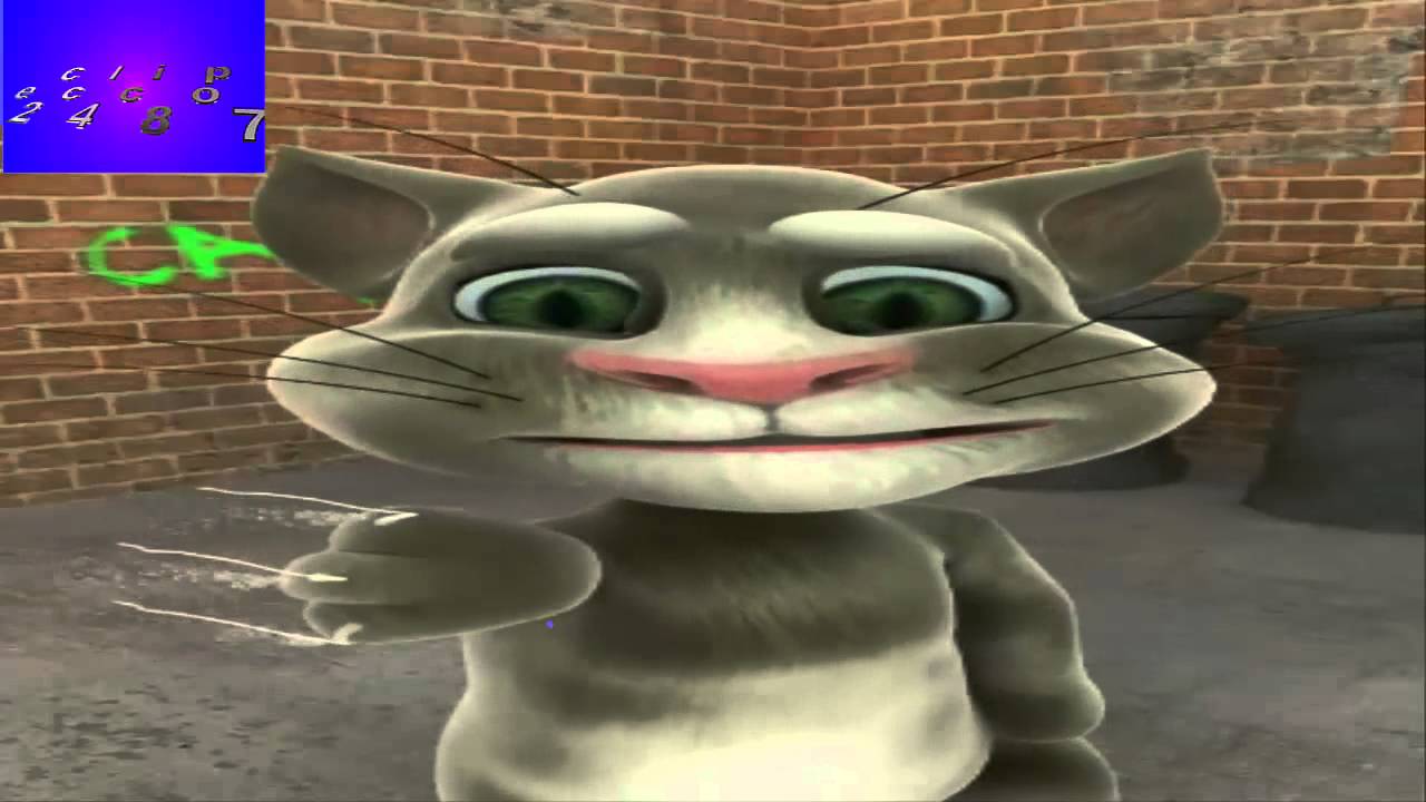 Funny cats animation Funny cartoon videos for Children01 - YouTube